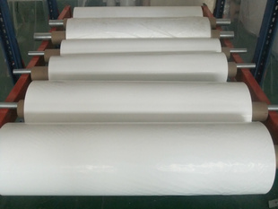 PVDF Film